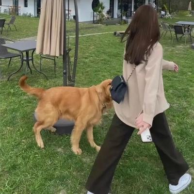愉悦的知识